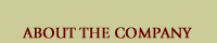 About the Company